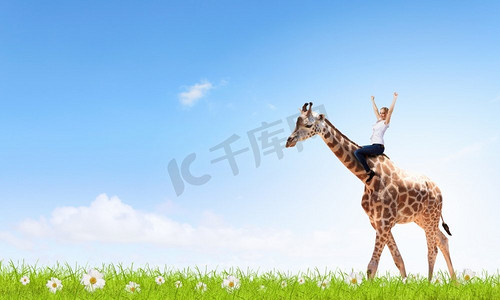 年轻漂亮无畏的女人骑着长颈鹿。骑长颈鹿的女人