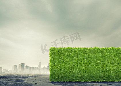 绿化理念。绿色植物的概念形象。保护我们的星球
