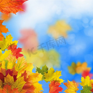 红色和橙色的树叶摄影照片_红色和黄色的叶子对明亮的蓝天。散景效果。