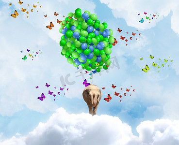 骑着的大象摄影照片_会飞的大象。大象骑着一串五颜六色的气球在天空中飞翔