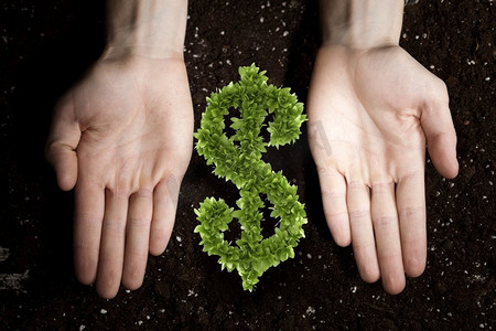 背景中拿着绿色美元符号和泥土的手。为你的收入提供肥沃的土壤