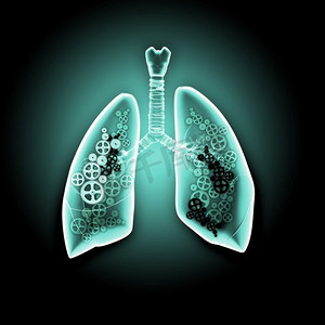 吸烟的肺部摄影照片_人类的肺。具有齿轮式机构的人体肺部插图