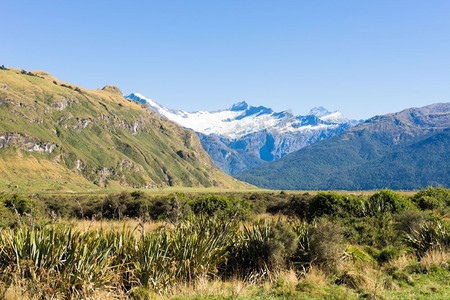 风景如画。新西兰阿尔卑斯山和草地的自然景观