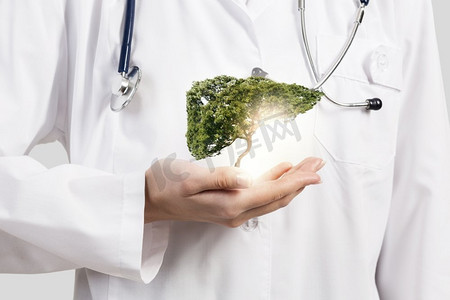 卡通绿树照片墙摄影照片_健康的肝脏。女医生手持绿树特写