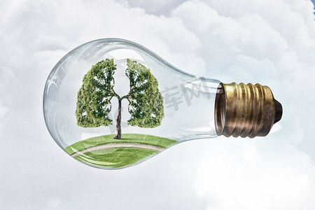绿色能源理念。内种绿树的玻璃灯泡