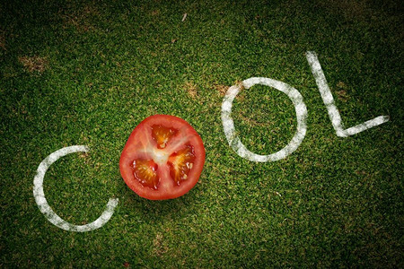 字母O摄影照片_凉爽的西红柿。单词Cool用番茄片代替字母O
