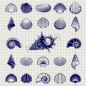 海贝壳的草图。海贝壳素描矢量插图。笔记本页上设置的海贝壳剪影