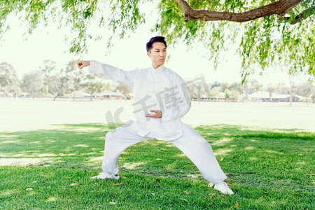 古典中国风卷轴摄影照片_练太极拳的帅哥。夏天在公园练太极拳的帅哥
