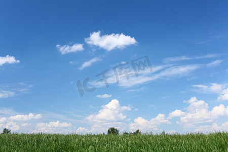 绿草草甸和蓝色晴朗的天空的夏季景观
