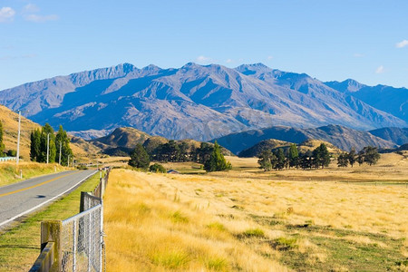 风景如画。新西兰阿尔卑斯山和田野的自然景观