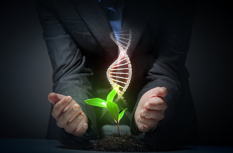 有机科学主题与DNA。有机科学主题与DNA和年轻的绿色萌芽上升