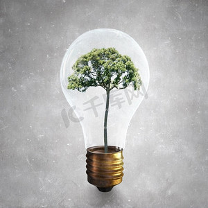 可持续资源摄影照片_生态和能源。内有绿树的玻璃灯泡