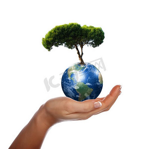 手，我们的星球地球和树-环境保护的象征