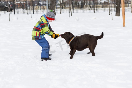 学龄儿童带着狗在冬季公园。我和我最好的朋友