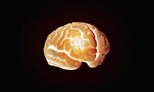 智商摄影照片_黑底人脑智商概念。人脑