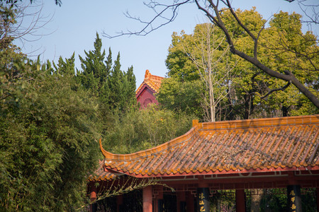 蓝天古风建筑屋檐公园