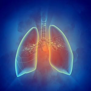 人体肺部的示意图。人体肺部的示意图，在彩色背景上有不同的元素。拼贴画。
