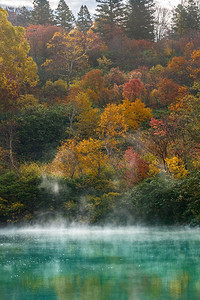 秋天森林温泉湖在日本东北青森Hakkoda日本