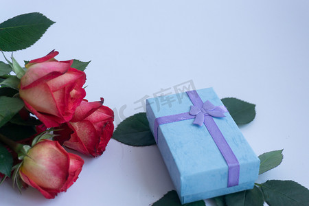 鲜花花朵祝福节日植物玫礼物礼品浪漫情爱情