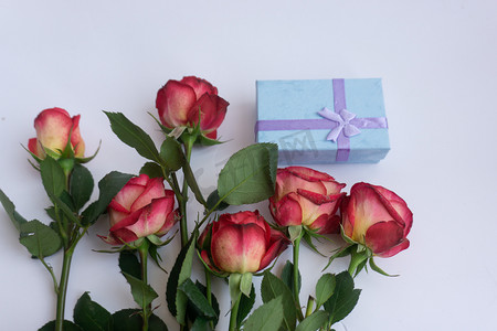 鲜花花朵祝福节日植物玫瑰礼物礼漫节爱情