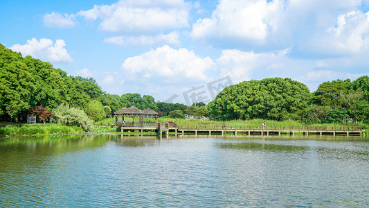 夏季天空摄影照片_苏州天福国家湿地公园风光