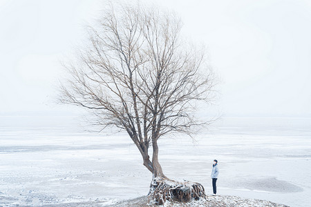 白雪茫茫孤独的树下男生