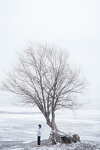 湖边雪天孤独的树下站男生