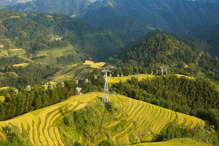 大山与金色的梯田