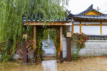 边境摄影照片_中国朝鲜族百年部落雨天景观27