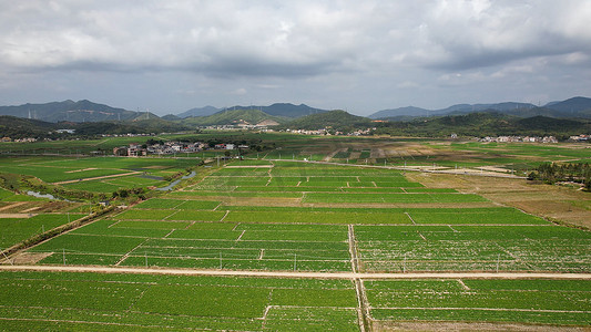 摄影照片_航拍农产品种植基地