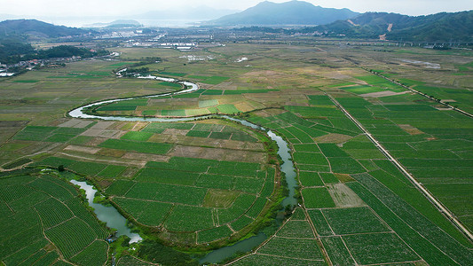 土地田地摄影照片_航拍农产品种植基地