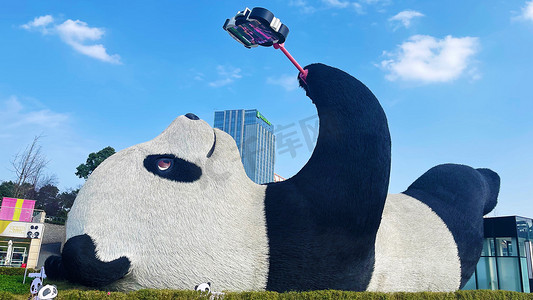 党建雕塑美陈摄影照片_都江堰自拍大熊猫