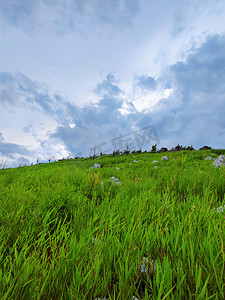 天气乌云密布山坡草地自然风景摄影图