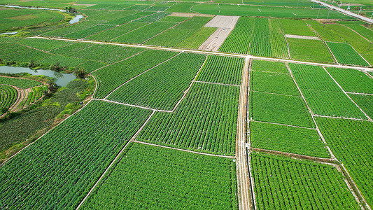 雷达尖兵基地摄影照片_航拍农产品种植基地