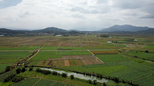 航拍农产品种植基地