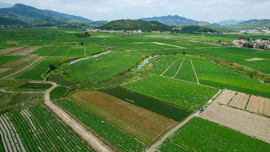 农村现代化摄影照片_航拍农产品种植基地