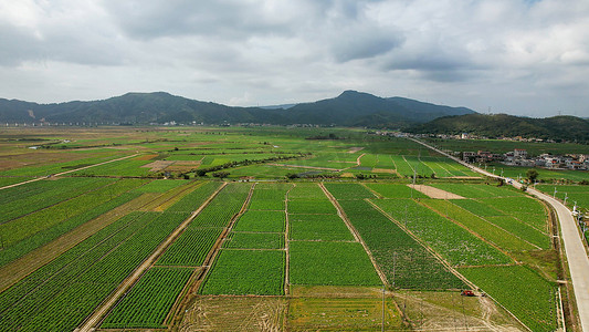 航拍农产品种植基地