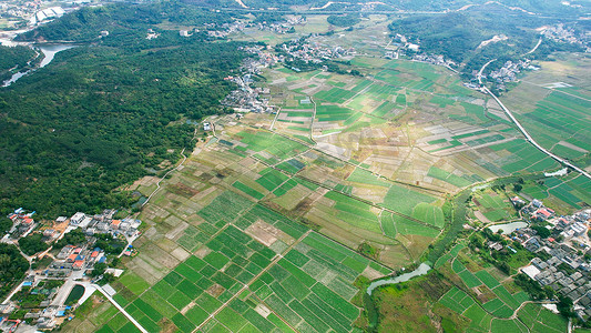 世界粮食日素材摄影照片_航拍农产品种植基地