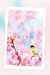 春天。春天。背景背景图片_小清新春天桃花开背景图片