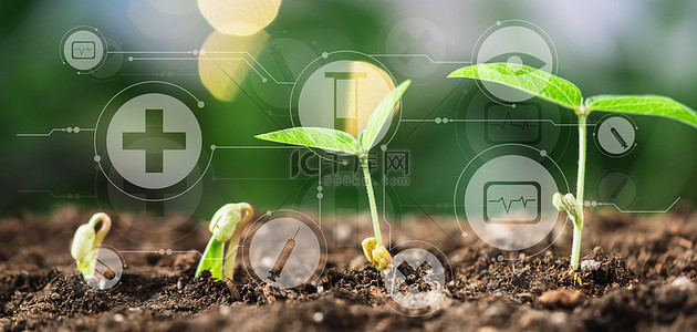 农业科技产业园背景图片_农业科技农作物发芽绿色创意科技背景