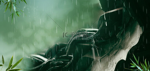 谷雨摄影图绿色简洁banner
