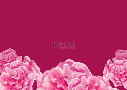 红色粉色花朵背景