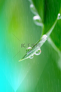 传统雨水节气背景图片_雨水绿叶绿色