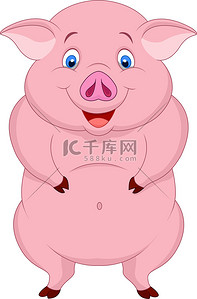 开心的猪背景图片_胖猪