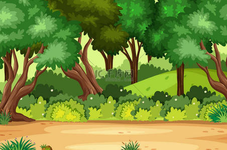 长颈鹿许多背景图片_森林图上有许多树的背景场景
