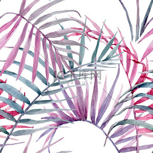 水彩矢量热带花卉图案