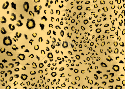 豹纹素材背景图片_金色豹纹抽象变化图案背景