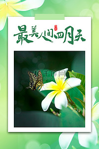 四月你好春天蝴蝶花朵绿色文艺电商摄影背景