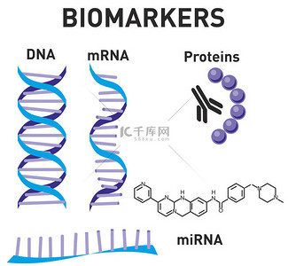 dna化学背景图片_纳米医学套装。纳米科学，纳米技术。生物 标志 物。Dna， mrna， 米尔纳， 蛋白质图像.结构化学公式和分子模型。科学设计。矢量插图