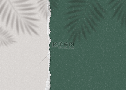 纸张撕背景图片_绿色白色纸张撕纸质感植物阴影背景